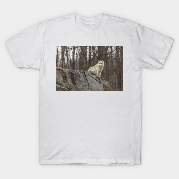 On the ledge T-Shirt by josefpittner